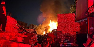 Geri dönüşüm tesisi alevlere teslim oldu
