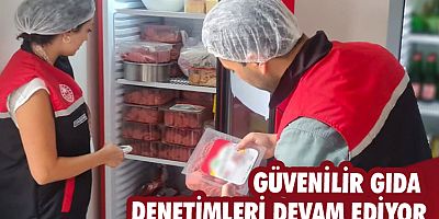 Güvenilir gıda denetimleri devam ediyor