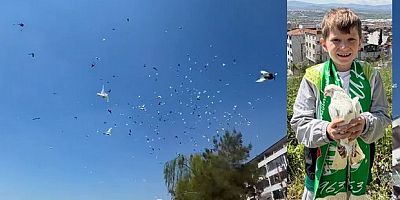 Güvercinin başkentinde muhteşem şov