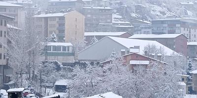 Hakkari'de 176 yerleşim yeri ulaşıma kapandı