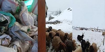 Hakkari'de çiftçiler çaresiz