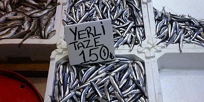 Hamsi bu defa şaşırttı