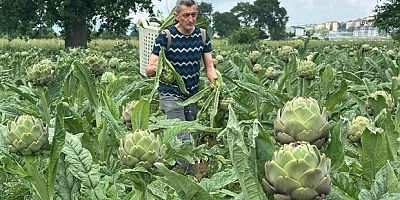  Hasanağa diye Kıbrıs enginarı almayın