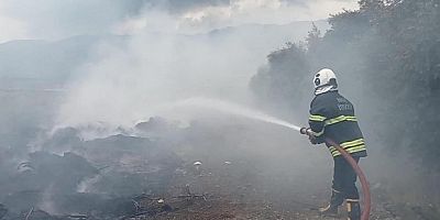 Hassa'da zeytinlik yangını