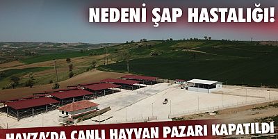 Havza’da canlı hayvan pazarı süresiz olarak kapatıldı