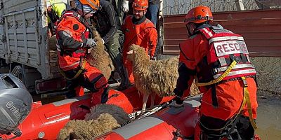 Hayvanlar zodyak botlarla kurtarılıyor
