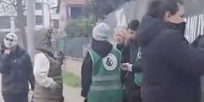 Hayvanseverler harekete geçti, Gemlik belediyesi dur dedi