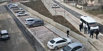 Hem Otopark Hem Oksijen Deposu