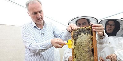 İnegöl Belediyesi'nden tarıma ve üreticiye tam destek