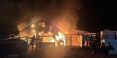 İnegöl'de hayvan çiftliğinde yangın: 580 hayvan telef oldu