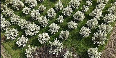 İnegöl'de kartpostallık görüntüler