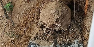 İnsan kafatası ve kemikler bulundu