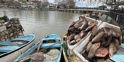 İstilacı İsrail sazanları gelir kaynağı oldu