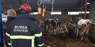 İtfaiyeden süt sağımı seferberliği