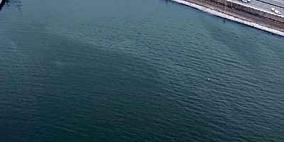 İzmir Körfezi’nde kirlilik alarmı