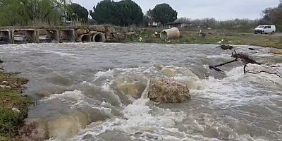  İznik Gölü’ne umut oldu