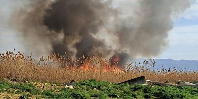 İznik'te sazlık yangını büyüyor