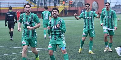 Kafkas Kartalı yüksekten uçuyor