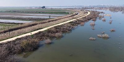 Karacabey çiftçisi suların çekilmesini bekliyor