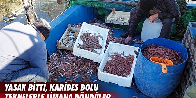 Karides yasağı bitti, tekneler doldu!