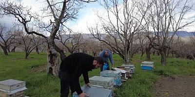 Kars'ta arıcılık sezonu başladı