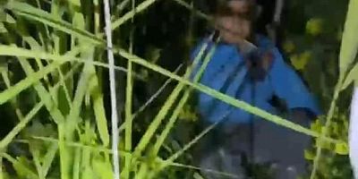 Kayalıklarda mahsur kalan 2 küçük kardeş kurtarıldı