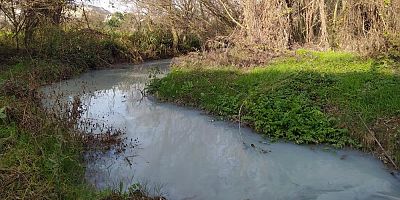 Kimyasal atık derenin rengini değiştirdi