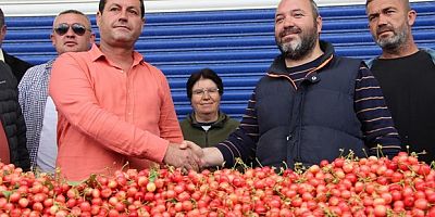 Kiraz 800 TL’den satıldı