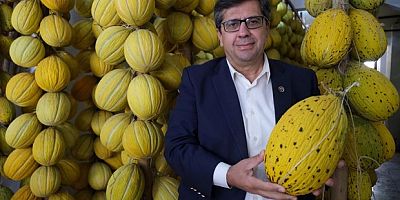 Kışlık sofraları süsleyecek