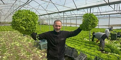 ''Kıvırcık' bu yıl yüzleri güldürdü