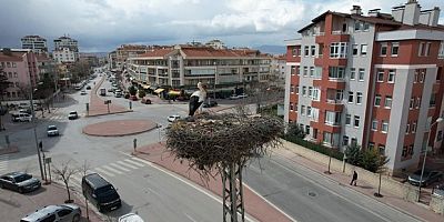 Konya'nın leylekleri direkteki yuvalarına geldi