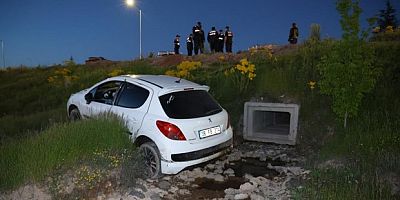 Köpeğe çarpmamak isterken şarampole uçtu