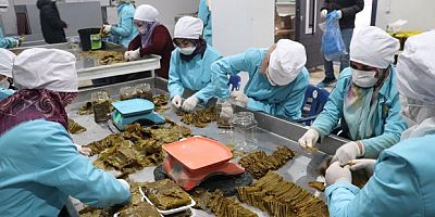 Köylü kadınların geçim kaynağı