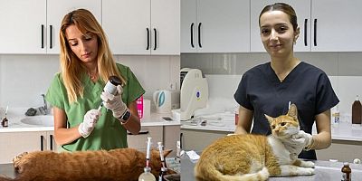 Kuşadası Belediyesi patili dostların yanında