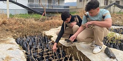 Liselilerden bölge tarımına büyük katkı