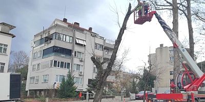 Lodosa karşı büyükşehir ekipleri sahada