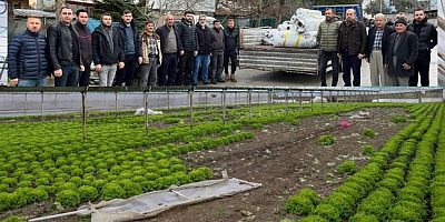 Lodostan zarar gören seralara Büyükşehir desteği
