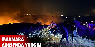 Marmara Adası'nda yangın