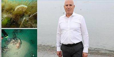 Marmara Denizi hepimizin