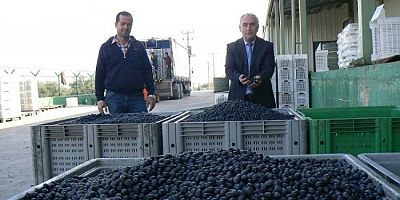 Marmarabirlik'te beyan süresi sona erdi