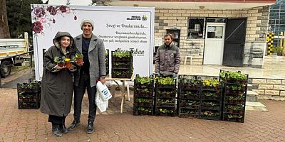 Mezarlıklar çiçek bahçesine büründü