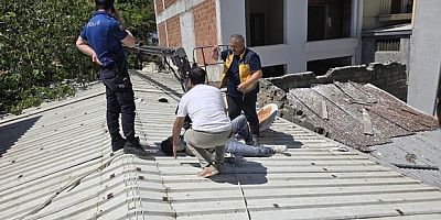Mudanya’da can pazarı