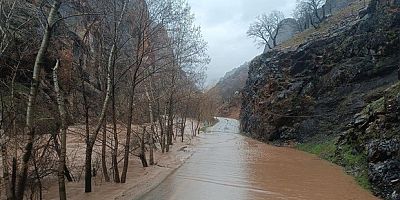 Munzur Nehri taştı