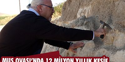 Muş ovasında 12 milyon yıllık keşif