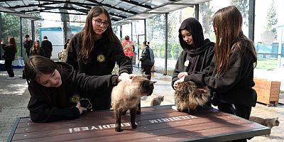 Öğrencilerden patili canlara ziyaret