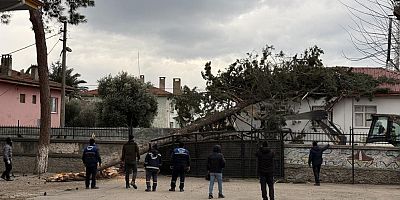 Okulların tatil olması faciayı önledi