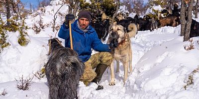 Öldürülen köpeğine otopsi yaptırdı