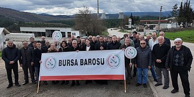 Ombudsman, Orhaneli Termik’e “DUR” dedi!