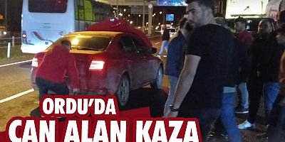  Ordu'da trafik kazası: 1 ölü