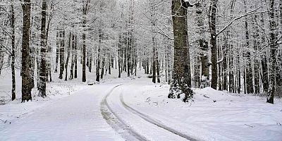 Ordu'nun 15 ilçesinde eğitime kar engeli